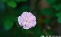 一日禅：一切皆修行