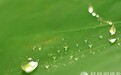 一日禅：只管播种
