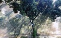 一日禅：当下一念