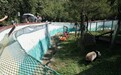 奔县游·来栾川｜竹海萌兽趣无穷 采风团探秘竹海野生动物园