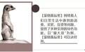 掌上风控专家【蒙格斯辰星】安卓版正式上线！