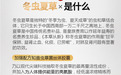 早春养肺 虫草当先，维特健灵知音虫草助力肺健康
