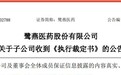 鹭燕医药扩张之痛：子公司陷2.36亿元债务纠纷