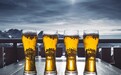 啤酒三巨头默契公布年中业绩 占据啤酒市场“半壁江山”