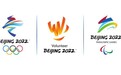 北京冬奥会和冬残奥会志愿者全球招募上线啦