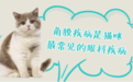 守护清澈，瑞派为宠物健康明眸保驾护航！