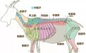 涮、烤、酱、烧，北京人贴秋膘不能缺羊肉