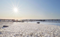 画面壮观！芬兰海滩罕见出现上万颗“冰蛋”
