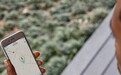 手机被偷关机也能找到？苹果如何做到“查找离线设备”？