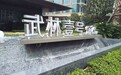 弃房断供！杭州顶级豪宅遭“法拍” 报价6876万