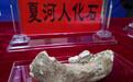 中国唯一！甘肃夏河丹尼索瓦人研究入选2019世界十大考古发