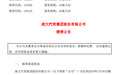 庞大集团澄清深商接盘传闻 300亿集团陷入经营困局