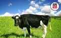 资产负债率或逼近60%，持续收购下的蒙牛乳业能否“吃得消”？