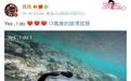 魏晨水下求婚成功！与相恋十多年女友修成正果
