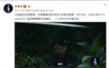 余承东发布华为Mate 30系列预告片 网友齐喊“稳了”