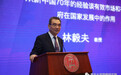 林毅夫：经济发展既要有有效市场，也要有有为政府