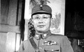 他参与刺杀日军大将 又在万家岭等战役中屡立战功