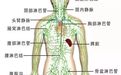 人体3处淋巴决定生死!没事常揉揉,90%疾病都消除~