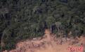 “地球之肺”火灾频发 航拍亚马逊雨林遭砍伐景象