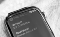 外媒：Apple Watch 5可能不会与新iPhone一同发布