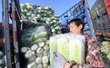 发改委要求北方大城市做好冬季蔬菜储备 确保5-7天消费量