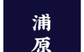 西单必吃的神级小店！仅凭①碗鸡汤拉面，圈粉无数人