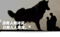 全世界养狗最容易的国家，却有无数人想要毒死邻居的狗