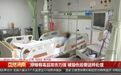 琼海一小区遭排蜂袭击，女子被蛰40多处住进ICU