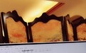 杨十六、洛城东、京祺在番茄小说直播间码字，世界读书日爆更宠粉
