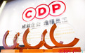 战疫情、稳经济，CDP“中国力量2020”最佳管理创新评选顺利落幕