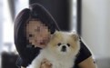 香港通报患者宠物狗感染新冠病毒 部分专家此前持不同看法