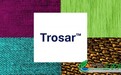 帝斯曼推出高性价的新品牌创飒™ (Trosar™)，拓展高性能纤维业务