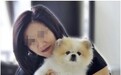 香港发现第二例在新冠病毒测试中呈阳性的狗，其饲养者为确诊患者