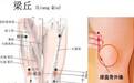 梁丘穴： 膝肿痛、下肢不遂、胃痛