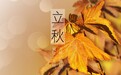 今日立秋|秋社要祭拜土地神，因为这可爱老头对古代中国非常重要