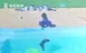 巴西3岁男童泳池中救出溺水好友 妈妈：儿子是真英雄
