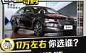小众合资品牌中型车 速派 VS 起亚K5