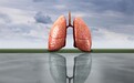 首例新冠肺炎逝者遗体解剖报告公布：病变仍聚焦肺部 其他脏器损伤证据不足