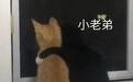 出轨保镖，还睡遍了整个娱乐圈小鲜肉…这位太太也太生猛了！