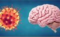 美国最新研究：新冠病毒不仅影响肺部 也会导致大脑发炎