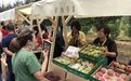 平谷2020年中国农民丰收节开幕 将推系列农事体验活动