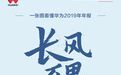 一图看懂华为2019年全年业绩