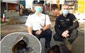 港警连夜拆除炸弹：系战时美军空投 引爆时传出多响爆炸声