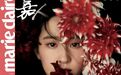 花与刘亦菲 | 赏色