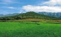 历史上秦始皇陵遭到过几次盗掘