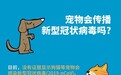 新冠患者宠物犬检测呈弱阳性？WHO：正在了解是否感染还是蹭到