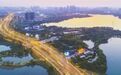 湿地公园都有“黑天空” 专家称赞武汉是“湿地之城”
