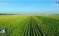 农财两部发布2020年惠农政策 吉峰科技抢滩高端农机市场
