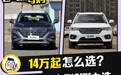 新老势力同堂较量 四款中国品牌中型SUV怎么选