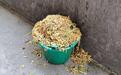 安徽一小学学生将“营养餐”全倒进垃圾桶，当地教育部门介入